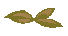 [HOUSE] Leaves T1 (autumn)
