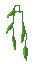 [HOUSE] Vines T1