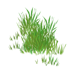 [HOUSE] Grass Patch T1