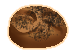 [HOME] Bread Roll (sesame)