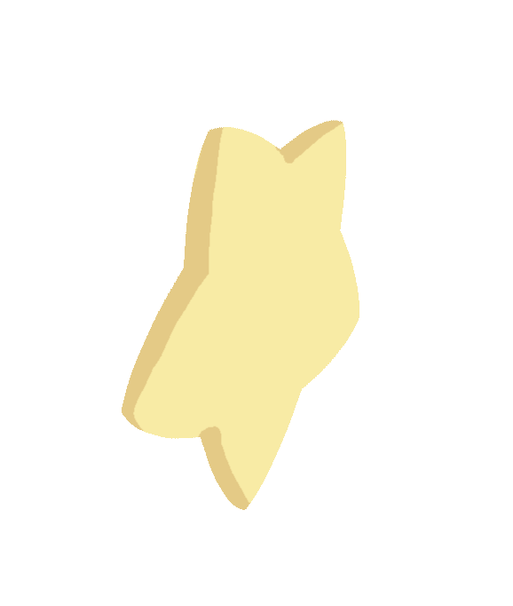 [HOME] Star Wall-Deco T1