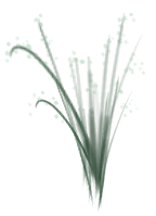 Baby's Breath Stem Strands