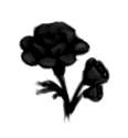 Black Roses