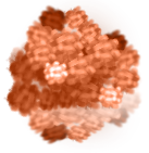 Orange Flower Brushel