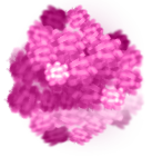 Pink Flower Brushel