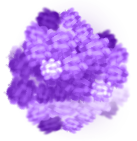 Purple Flower Brushel