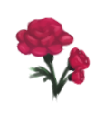 Red Roses